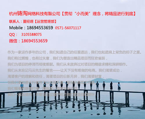 杭州铸淘网络科技有限公司|杭州淘宝代运营|自贡托管