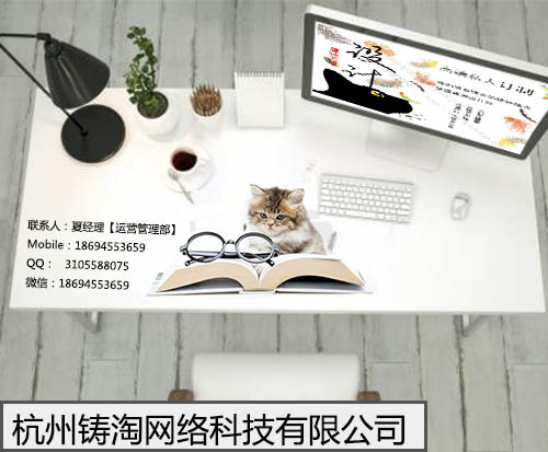 杭州铸淘网络科技有限公司|杭州天猫代运营|广安网店托管