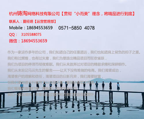 杭州铸淘网络科技有限公司|杭州淘宝代运营|成都网店