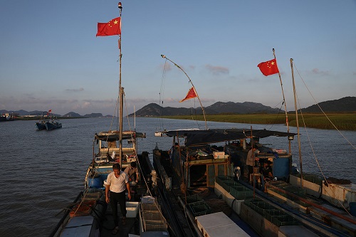 杭州天猫代运营公司，铸淘电商：东海捕鱼记：夫妻一天收入2000多，拉回来的不只是“海货”