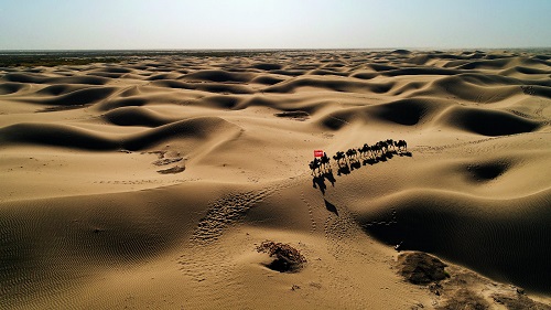 杭州淘宝代运营公司，铸淘电商：大漠最后的“赶驼人” 借农村淘宝重走丝绸之路