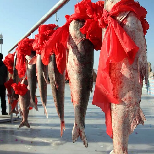 杭州天猫代运营公司|查干湖第一茬胖头鱼在天猫首发 今年产量预计达1000万斤