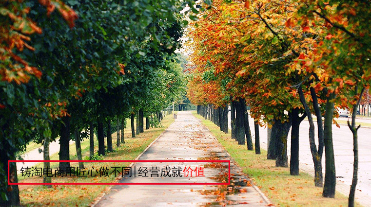 天猫双11村播十天预售3万吨农货：1.5万村播、20多县长齐上阵-杭州天猫代运营公司